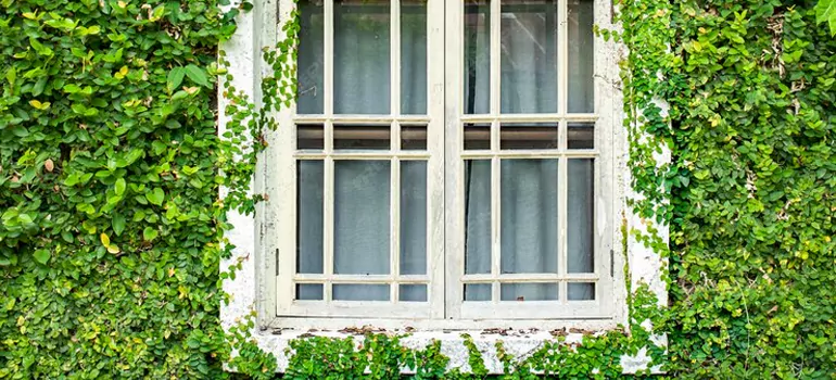Garden Window Repair Near Me in Ashland, CA
