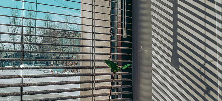 Commercial Window Blinds in Ashland, CA