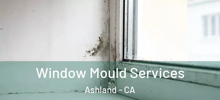  Window Mould Services Ashland - CA